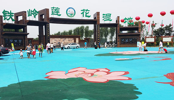 來蓮花濕地公園漫步，感受腳下生花